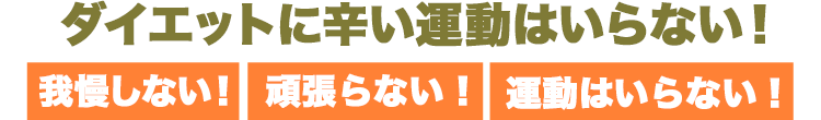 ダイエットに辛い運動はいらない!