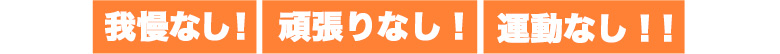 我慢なし！頑張りなし！運動なし！